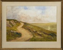 SHEEP, CHEVIOT HILLS, A WATERCOLOUR BY STANLEY LEADER