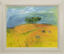 CARSE LANDSCAPE I, AN OIL BY MAGGIE BEVERIDGE