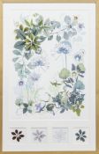 AGAPANTHUS HOLLOW, A SIGNED LIMITED EDITION PRINT BY AMANDA ROSS