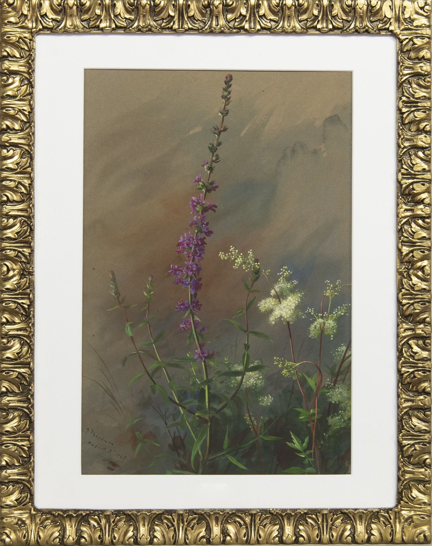 MEADOWSWEET AND PURPLE LOOSESTRIFE, A WATERCOLOUR BY ARCHIBALD THORBURN