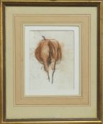 PASTEL STUDY OF A HORSE BY DAVID ABERCROMBIE DONALDSON