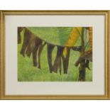 BANANA LEAVES, JAMAICA, A WATERCOLOUR BY ROBERT SAWYERS