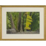 BANANAS, PORT ANTONIO, JAMAICA, A WATERCOLOUR BY ROBERT SAWYERS