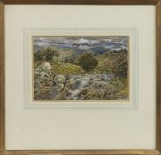 ROWAN BURN, CALLANDER, A WATERCOLOUR BY JOHN FAED