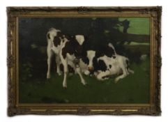 AYRSHIRE CALVES, AN OIL BY DAVID GAULD