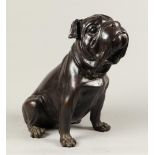 A dark patinated bronze French bulldog seated. 2nd half of