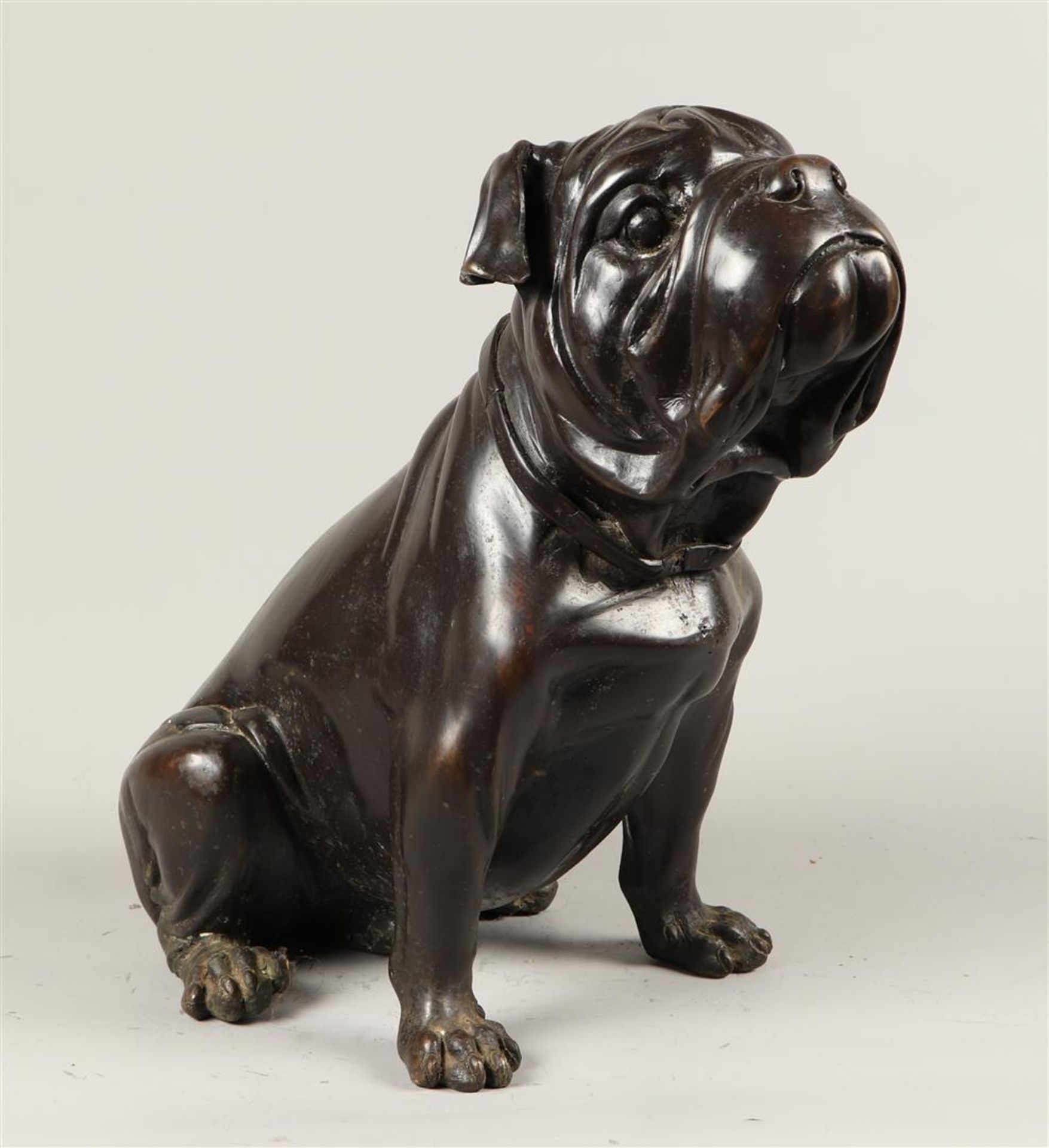 A dark patinated bronze French bulldog seated. 2nd half of 