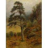 CharlesStuart (1854-1904) "Forest Kings", signed (lower ri