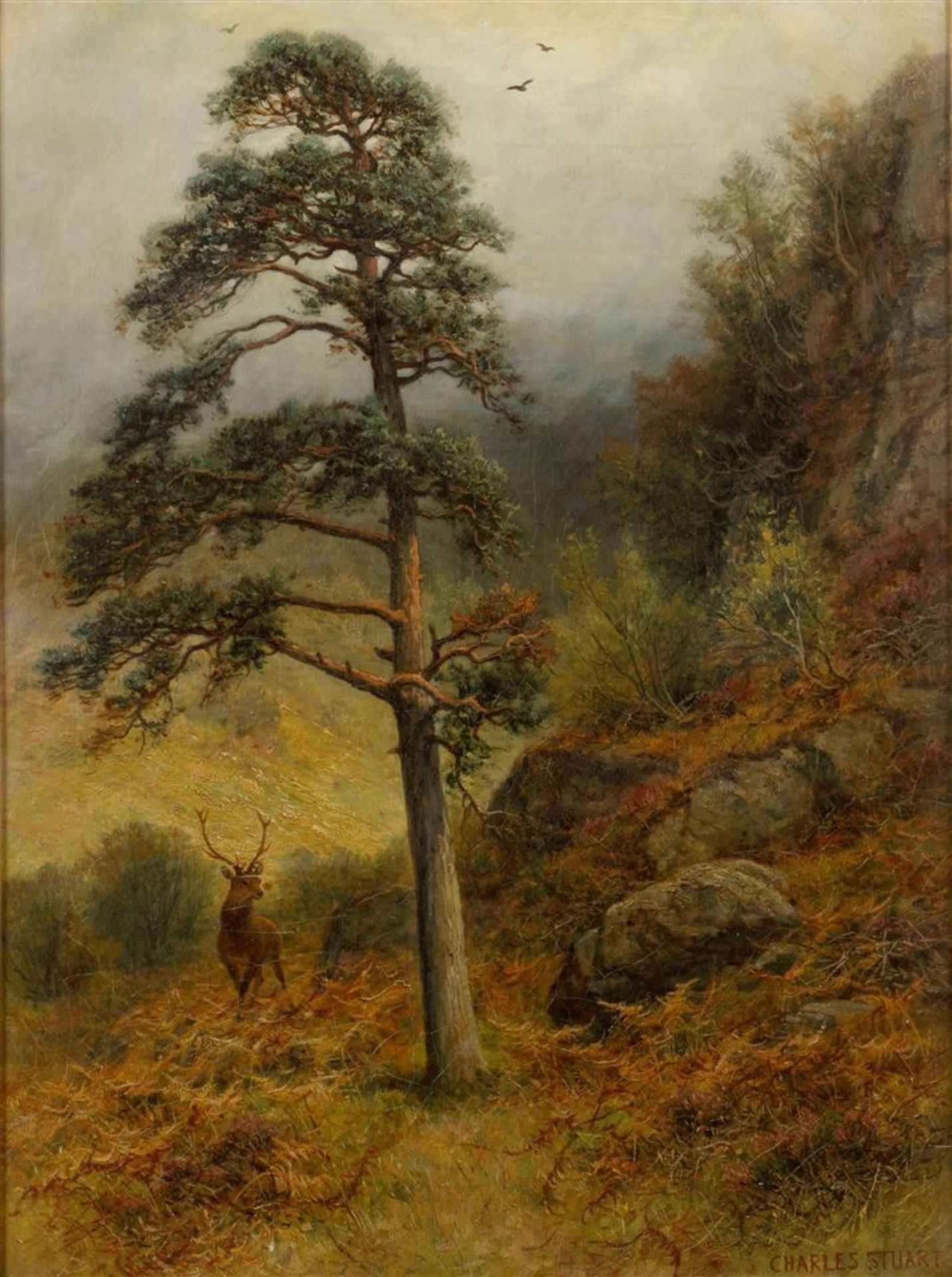 CharlesStuart  (1854-1904)
"Forest Kings", signed (lower ri