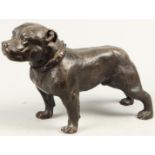 A bronze depicting a pit bull. 2nd half of the 20th century