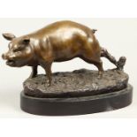 A bronze statue depicting a tied pig. 2nd half of the 20th