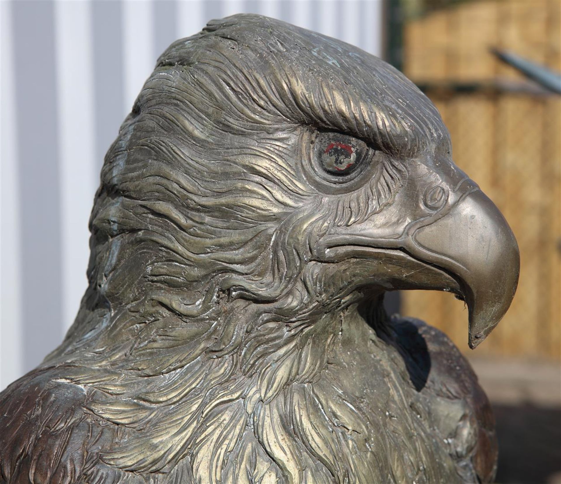 A life size bronze statue of an American eagle on a branch. - Bild 2 aus 2