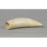 A "scrimshaw" sperm whale tooth with remnants of decoration