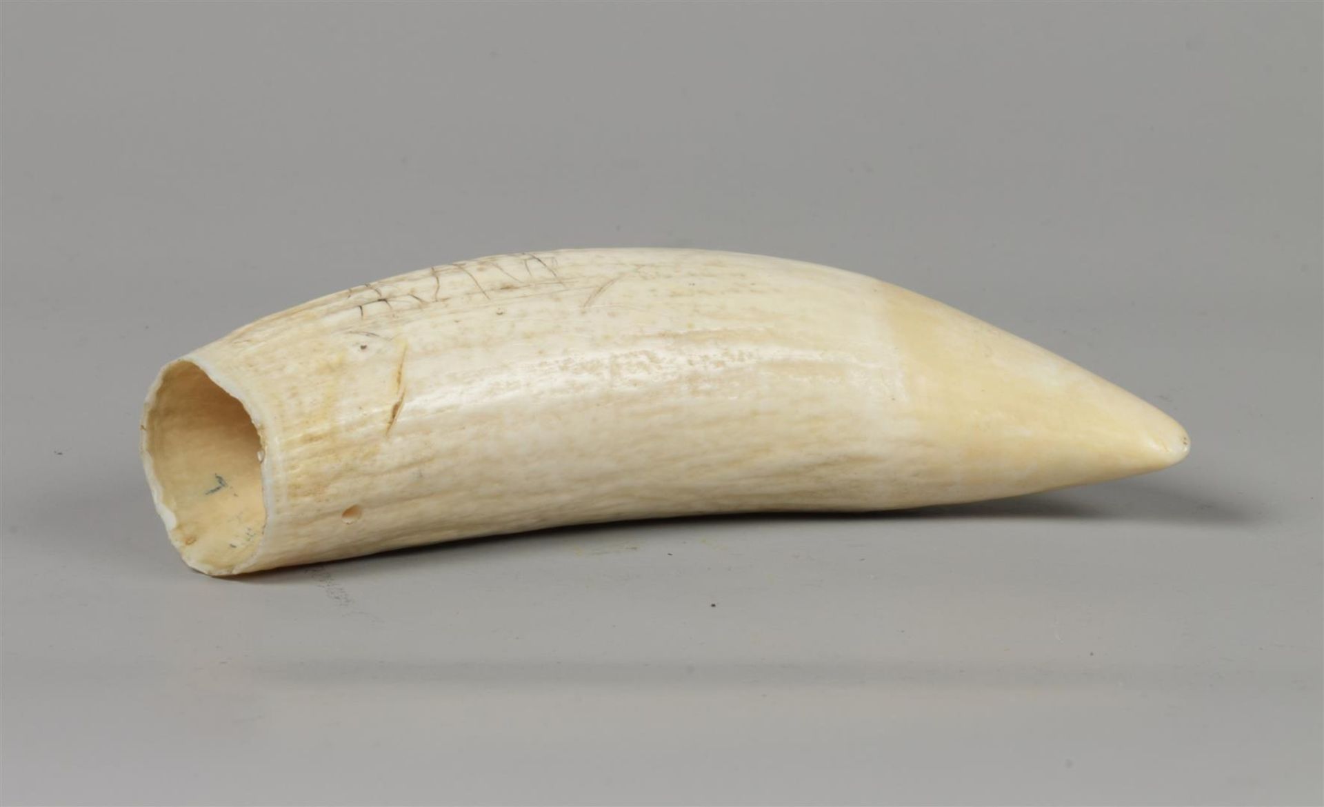 A "scrimshaw" sperm whale tooth with remnants of decoration