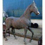 A life size garden bronze of a stallion, 20th. C. H.: 230