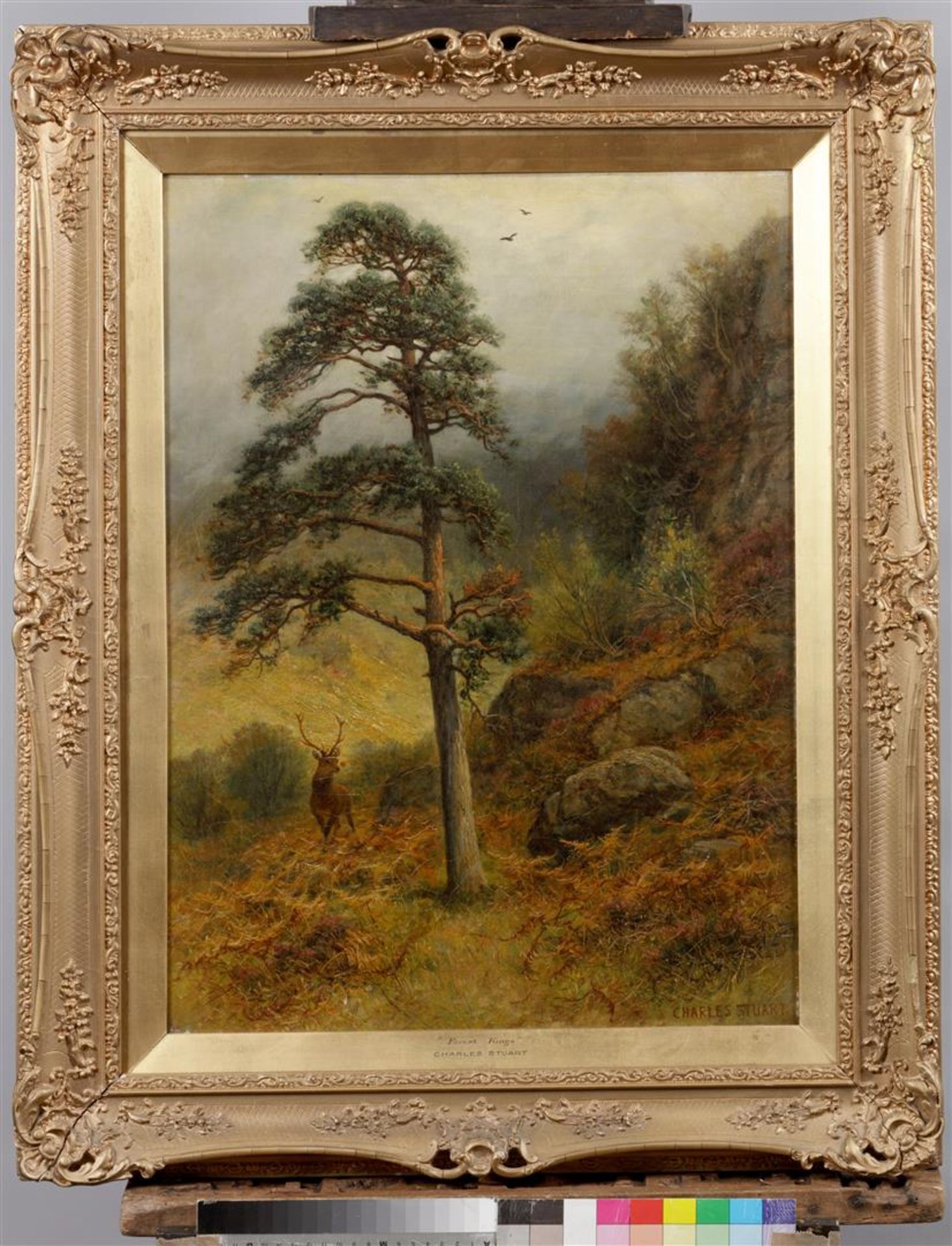 CharlesStuart  (1854-1904)
"Forest Kings", signed (lower ri - Bild 2 aus 4