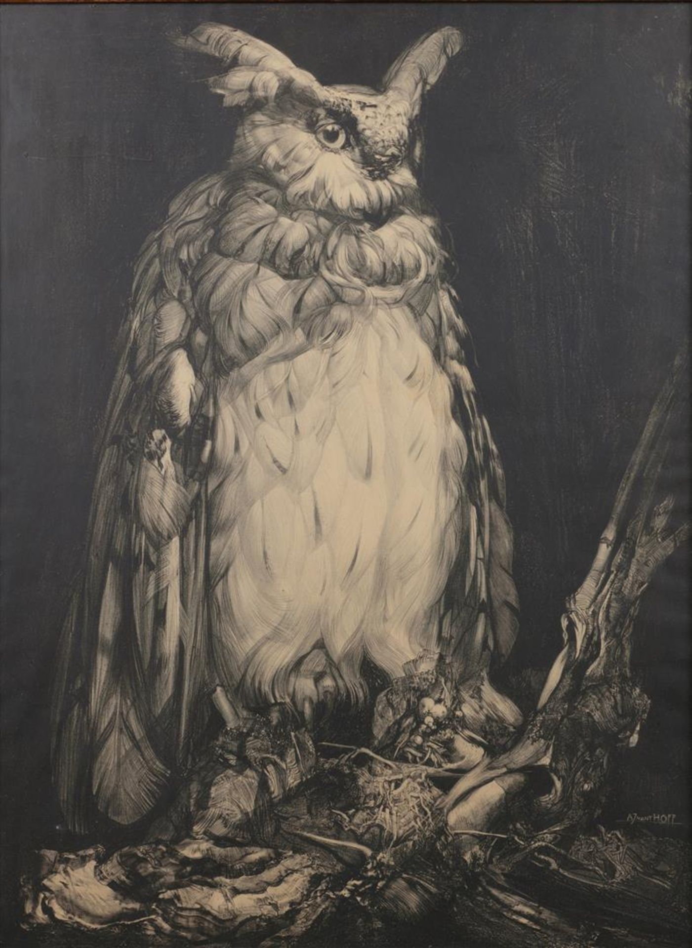 Adrianus Johannes van 't Hoff (1893-1933)
A Seated Eagle Ow