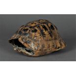 A turtle shell. (Greek tortoise - Testudo Hermanni).