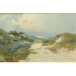 Meeuwis van Buuren, Dune pan, signed, oil on canvas.
