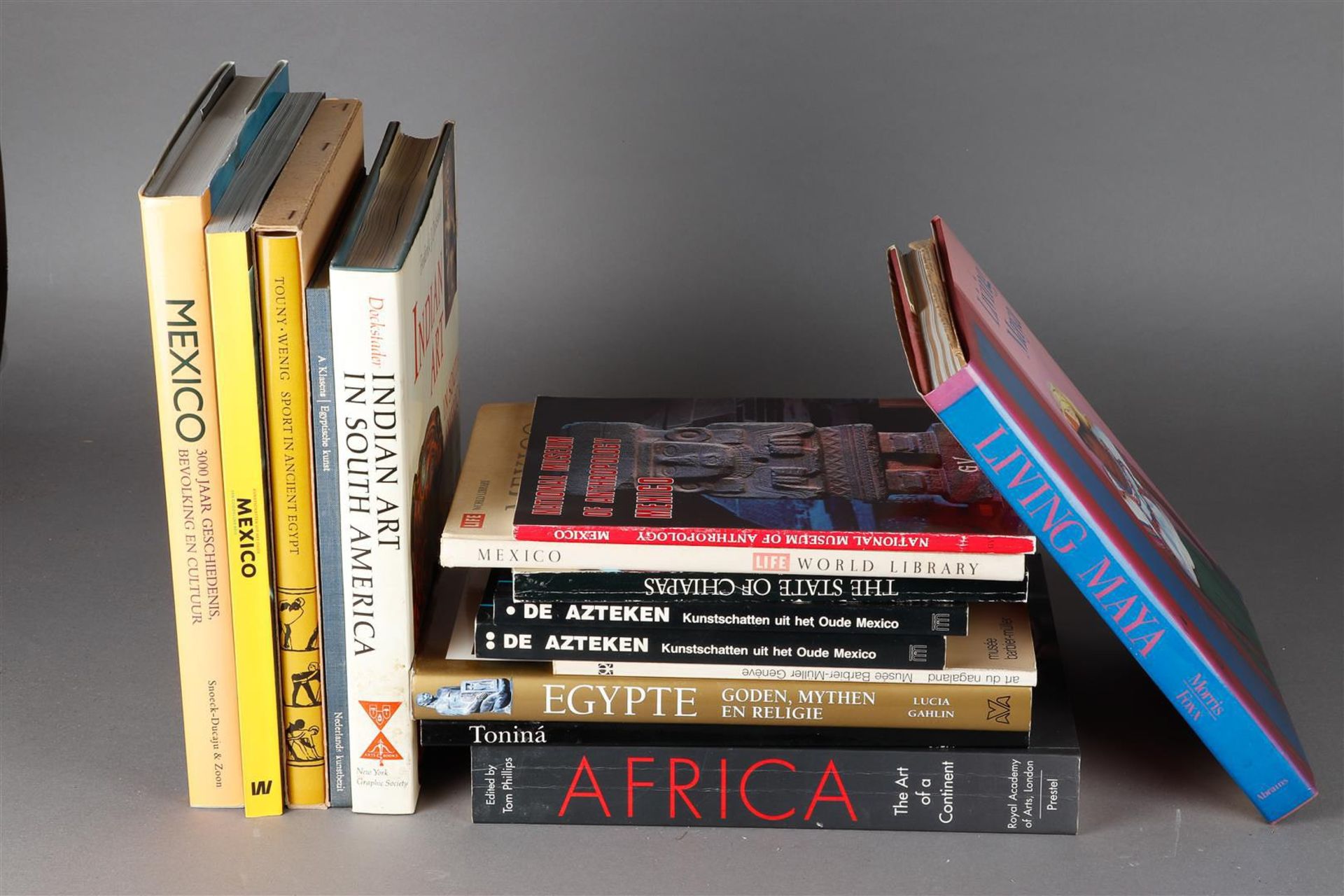 A collection of books on South American art and culture, Egypt and Africa.