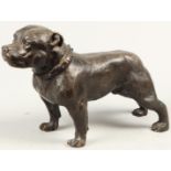 A bronze depicting a pit bull. 2nd half of the 20th century.