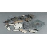 A lot consisting of various archaeological finds including arrowheads and fossils.