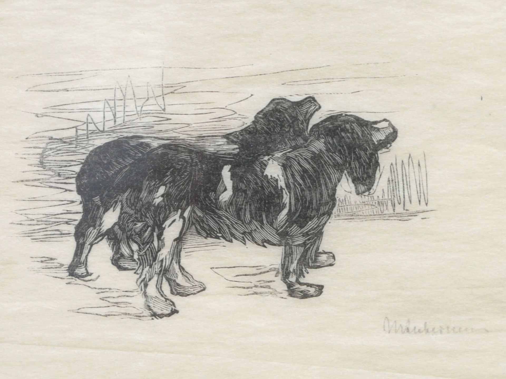 Liebermann, Max (1847-1935) - Holzschnitt Zwei Spaniel - Bild 3 aus 5