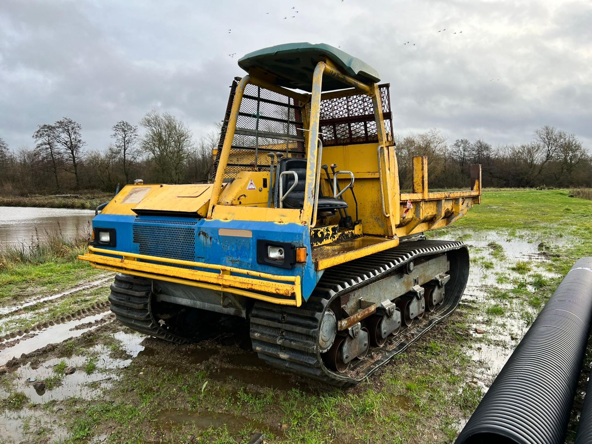 YANMAR C60R-2 6 TON REVERSE DRIVE TRACKED DUMPER, RUNS DRIVES AND TIPS, 1909 HOURS *PLUS VAT* - Image 2 of 15