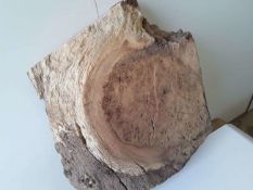 1X HARDWOOD AIR DRIED TIMBER SAWN ENGLISH OAK BURR SLAB *NO VAT*