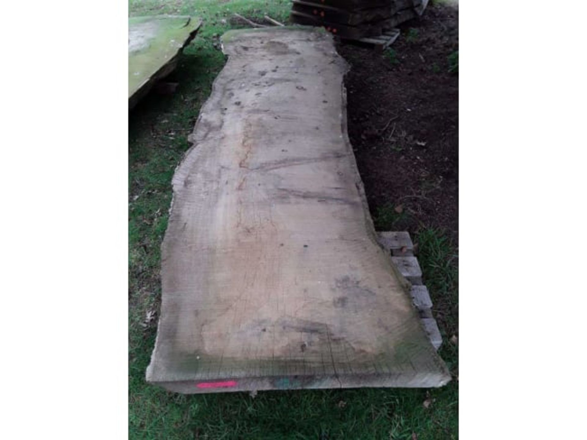 1x HARDWOOD TIMBER WANEY EDGE/ LIVE EDGE AIR DRIED SAWN ENGLISH OAK SLAB/ TABLETOP *NO VAT*