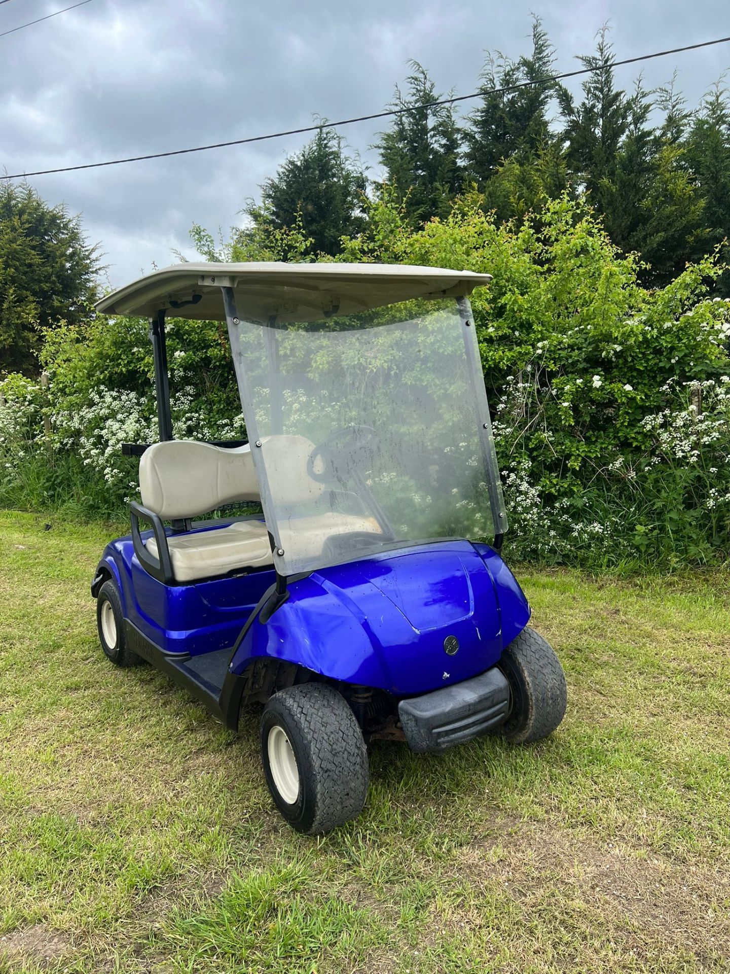 YAMAHA GOLF CART BUGGY 48 VOLT *PLUS VAT*