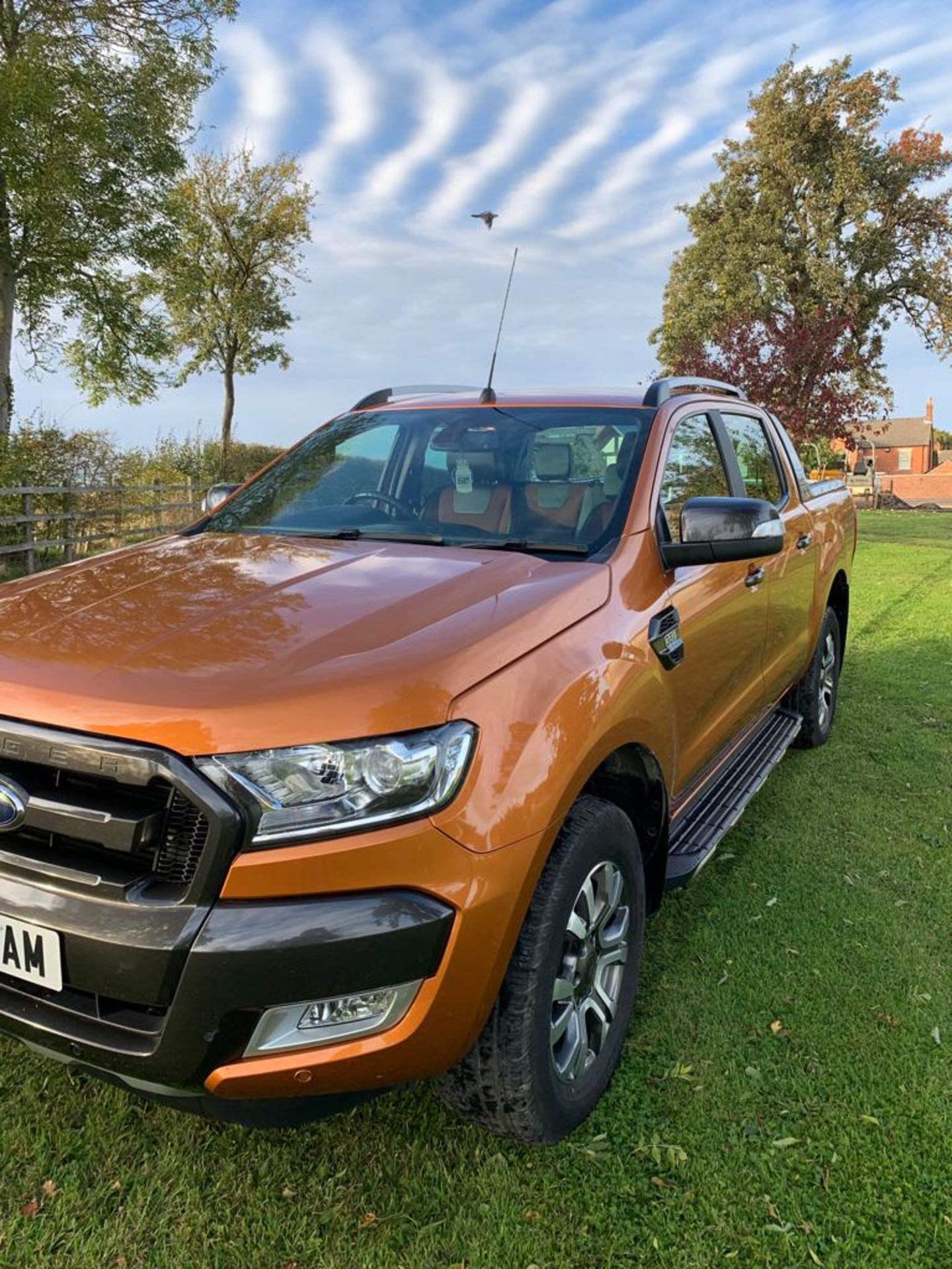 2018 FORD RANGER WILDTRAK 4X4 TDCI AUTO ORANGE PICK UP - TOWBAR *PLUS VAT* - Image 3 of 19