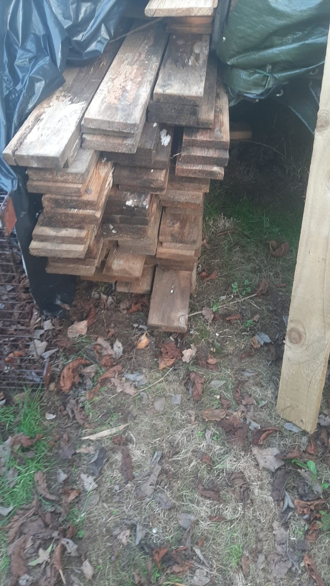 40 x PINE BOARDS, ALL NEW, NOT TREATED, 4.2 x 100 x 30 *NO VAT*