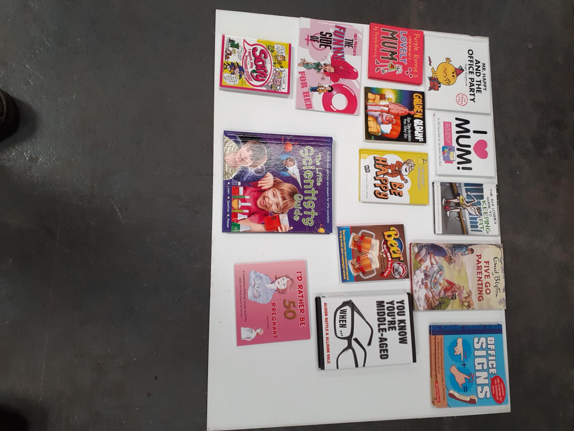 STOCK OF BOOKS OUT OF BOXER BOOKS UK - EXCELLENT CHRISTMAS STOCK *NO VAT* - Image 3 of 8