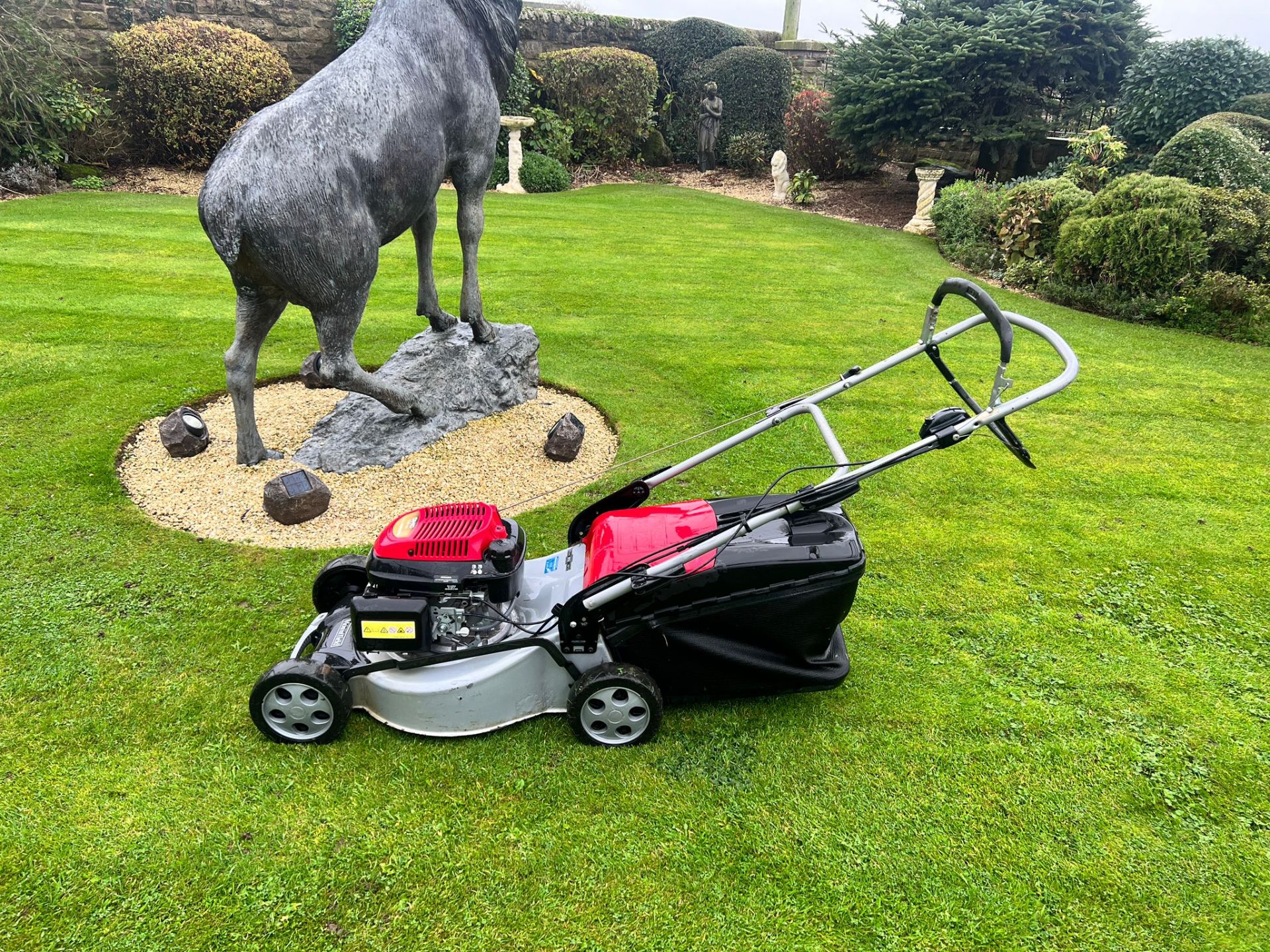 Mountfield SP465 Self Propelled Lawn Mower With Grass Collector *PLUS VAT* - Image 4 of 10