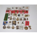 Approximately 60 British Army Cap and Arm Badges (some possibly restrikes)