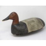 An antique carved and painted American drake Canvasback Duck Decoy 15 1/2in L