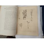 EVELYN John, Silva and a Discourse of Forest Trees with notes by A Hunter, MDFRS, pub York 1776,
