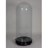 An antique tall glass Dome on circular base 1ft 11in H