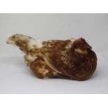 A taxidermy specimen of a hybrid laying Hen