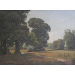 ARTHUR GEORGE PETHERBRIDGE (1882-1934)' Sunlight and Shade, The New Forest, signed, oil on canvas,