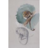 ARCHIBALD THORBURN (1860-1935). Sketches of Dormice, signed with initials, watercolour and pencil,