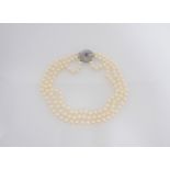 A three row Cultured Pearl Choker on sapphire and diamond flower clasp in white gold. one stone