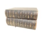 CASSELL PETTER & GALPIN, Picturesque Europe, 4 volumes bound in two, boards rubbed (2)