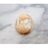 A carved shell Cameo Brooch of Athena in gold frame, Continental marks