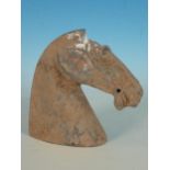A Han Dynasty burial Horses Head, 6in H, (chipped)
