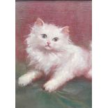 ATTRIBUTED TO JOHN WILSON HEPPLE (1854-1937). A Kitten, oil on canvas board, 15½ x 11in