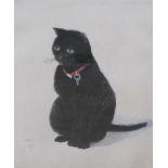 JOHN NAPPER (1916-2001). 'Bruno'. A black cat signed with monogram and dated 1995, watercolour, 16½