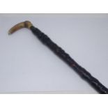 An antique horn handled thorn Sword Stick 3ft 1in L