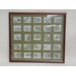 A framed collection of twenty five Gamebird, Wildfowl and Waders Cigarette Card